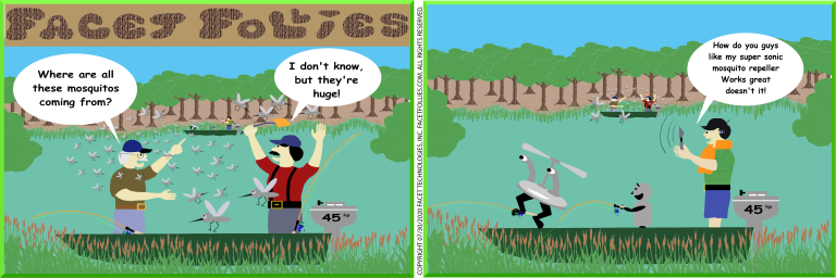 Facet Follies – August 2020