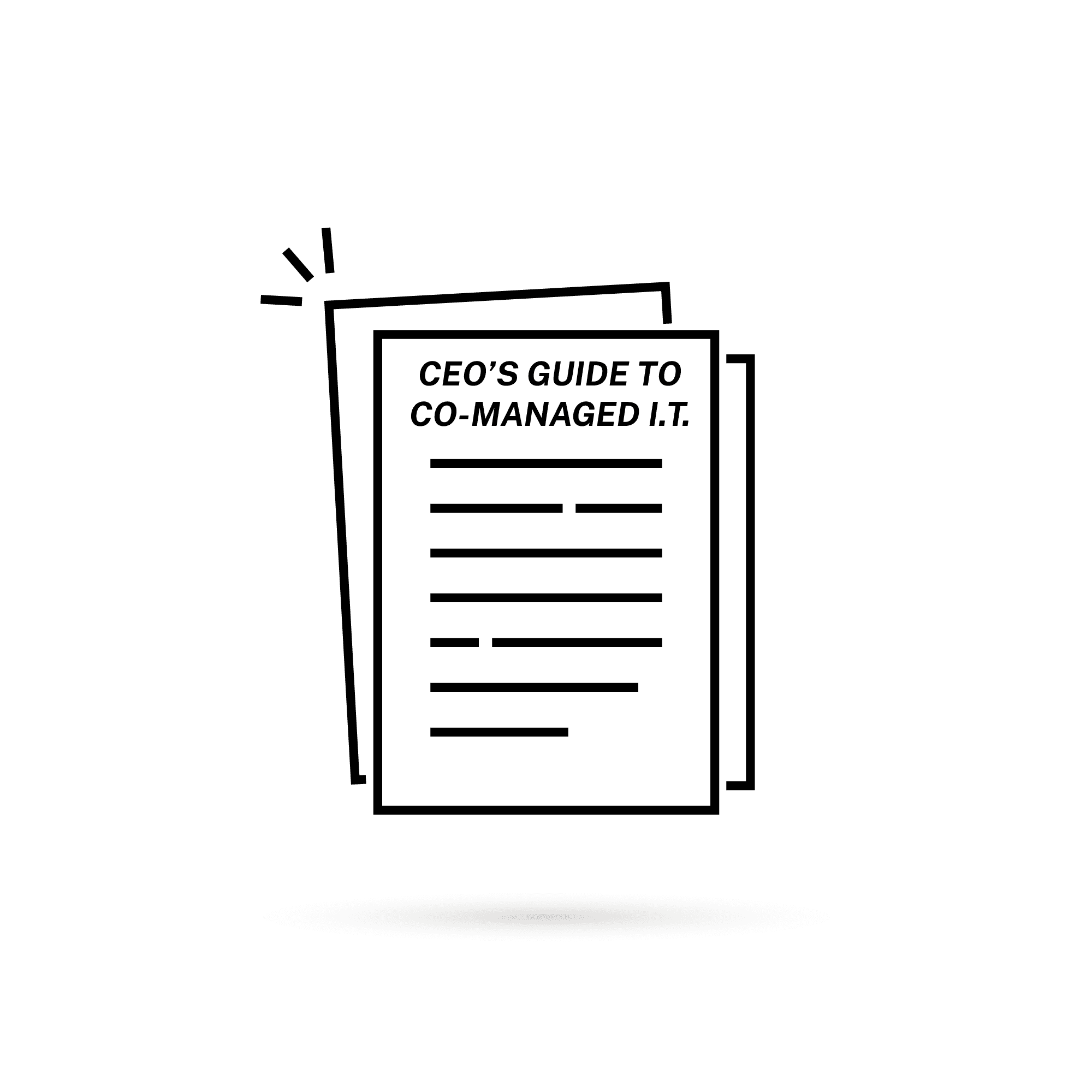 CEOs Guide to Co Managed IT 1