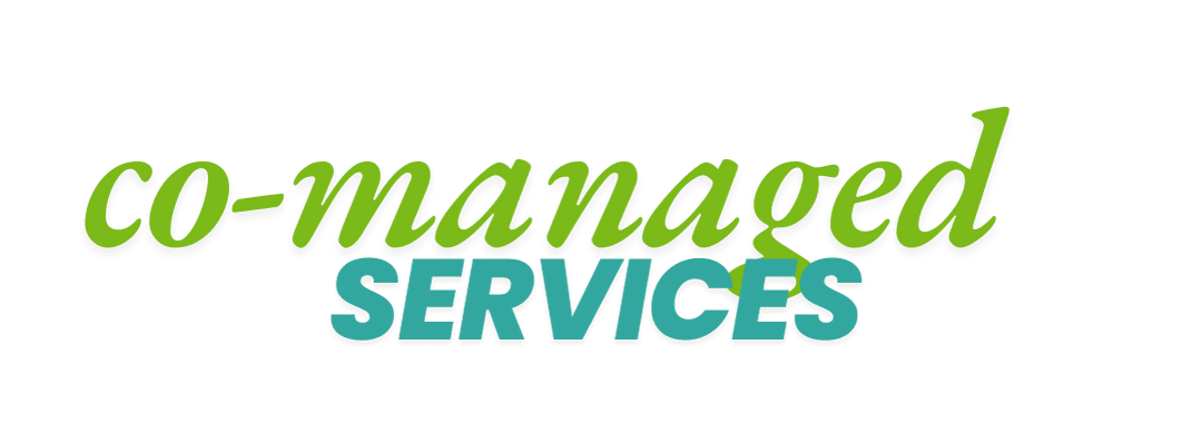 co-managed services